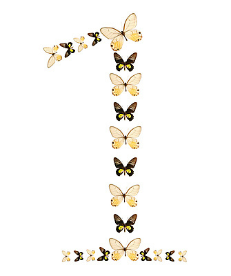 포토 JPG 해외이미지 동물 1 야생동물 나비 곤충 컨셉 날개 부분 자연 휴가 안테나 사람없음 숫자 노란색 검은색 봄 흰색 계산 심볼 사인 계좌 고립 해외202004 해외202105 해외포토 문자 계절 컬러 통신 금융 생태계 파일형식