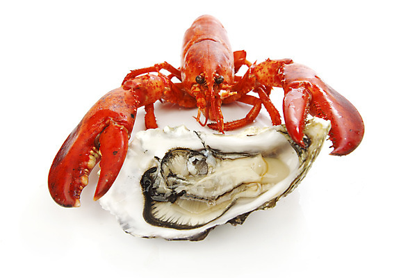 포토 JPG 해외이미지 접시 사람없음 굴 잡기 바닷가재 해산물 흰배경 집게발 해외202004 해외202105 해외포토 식기 백그라운드 모션 어패류 흰색 가재 파일형식