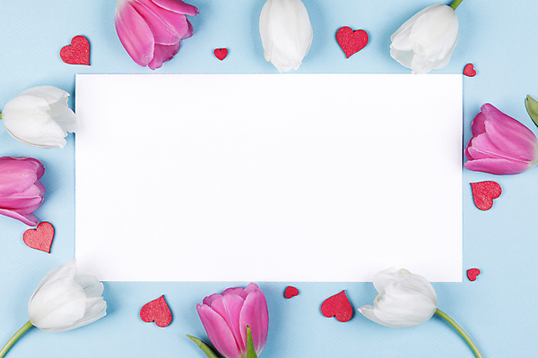 포토 JPG 해외이미지 모양 디자인 꽃 리본 분홍색 꽃다발 결혼 백그라운드 컨셉 꽃무늬 텍스트 휴가 프레임 발렌타인데이 선물 사랑 사람없음 장식 빨간색 초록색 파란색 봄 낭만 튤립 벚꽃 흰색 하트 마음 축하 인사 신용카드 생일 다발 심볼 2월 고립 파스텔톤 카피스페이스 국경 해외202004 해외202105 해외포토 식물 계절 기념일 감정 컬러 무늬 데이이벤트 이벤트 금융 공백 예절 날짜 파일형식