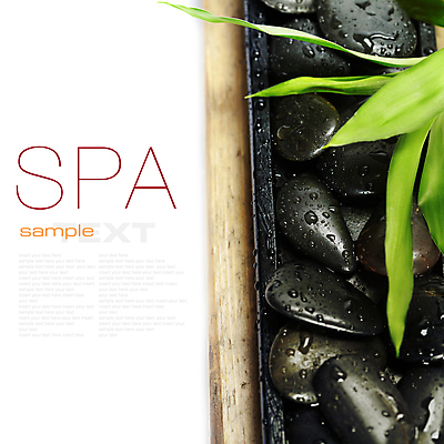 포토 JPG 해외이미지 잎 근접촬영 사람없음 스파 조약돌 스파용품 아로마테라피 해외202004 해외포토 식물 뷰포인트 돌_바위 오브젝트 테라피 파일형식