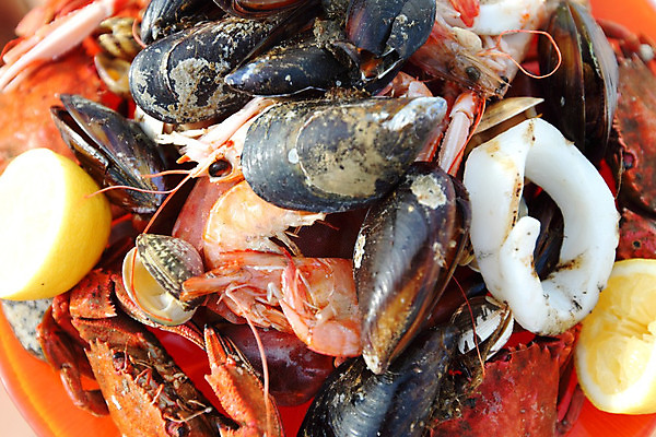 포토 JPG 해외이미지 접시 새우 사람없음 게 신선 바비큐 굽기 레몬 해산물 오징어 홍합 해외202004 해외202105 해외포토 식기 음식 과일 어패류 연체동물 갑각류 수중동물 구이 파일형식