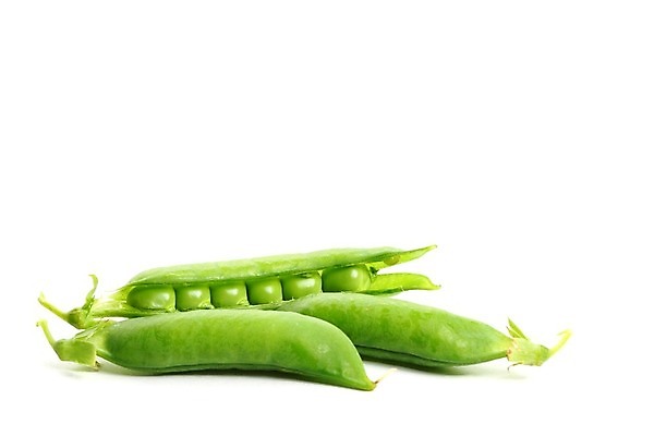 포토 JPG 해외이미지 식물 라이프스타일 음식 줄기 백그라운드 패턴 곡선 다이어트 채소 자연 건강 씨앗 사람없음 초록색 농작물 흰색 신선 오픈 그룹 시장 닫기 낟알 먹기 오브젝트 유기농 완두콩 날것 심플 고립 꼬투리 숙성 줄서기 해외202004 해외202105 해외포토 웰빙 선 컬러 무늬 농업 모션 콩 생활 생태계 파일형식