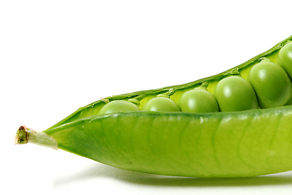 포토 JPG 해외이미지 식물 라이프스타일 음식 줄기 백그라운드 패턴 곡선 다이어트 채소 자연 건강 씨앗 사람없음 초록색 농작물 약 흰색 신선 오픈 그룹 시장 닫기 낟알 먹기 오브젝트 유기농 완두콩 날것 심플 고립 꼬투리 숙성 줄서기 해외202004 해외202105 해외포토 웰빙 선 컬러 무늬 농업 의학 모션 콩 생활 생태계 파일형식