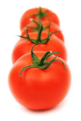 포토 JPG 해외이미지 식물 음식 백그라운드 잎 농업 다이어트 토마토 채소 과일 재료 자연 건강 요리 사람없음 빨간색 초록색 빛 쌓기 정원 식사 샐러드 흰색 나뭇가지 신선 원형 맛 떨어짐 먹기 오브젝트 싱글 유기농 날것 포도나무 비타민 내추럴 고립 숙성 채식주의자 맛있는 해외202004 해외202105 해외포토 도형 나무 웰빙 산업 컬러 컨셉 모션 과일나무 생태계 채식 영양소 파일형식