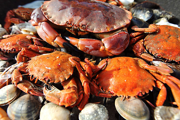 포토 JPG 해외이미지 조개 새우 사람없음 게 신선 그릴 바비큐 굽기 해산물 집게발 해외202004 해외202105 해외포토 음식 주방용품 어패류 갑각류 구이 파일형식