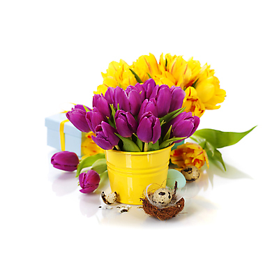 포토 JPG 해외이미지 화분 꽃다발 부활절 실내 사람없음 선물상자 튤립 껍질 둥지 깃털 흰배경 부활절계란 메추리알 해외202004 해외포토 기념일 꽃 백그라운드 선물 내부 상자 계란 알 흰색 파일형식