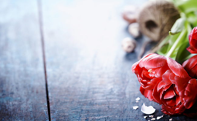 포토 JPG 해외이미지 회색배경 부활절 실내 사람없음 아웃포커스 튤립 노끈 메추리알 알껍데기 카피스페이스 해외202004 해외포토 기념일 꽃 줄 백그라운드 촬영기법 내부 알 공백 회색 파일형식