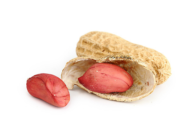 포토 JPG 해외이미지 단면 실내 사람없음 두개 흰배경 땅콩 해외202004 해외202105 해외포토 백그라운드 2 내부 견과류 흰색 파일형식