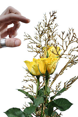 포토 JPG 해외이미지 전통 디자인 기념일 꽃잎 꽃 행복 백그라운드 휴가 기념 발렌타인데이 선물 사랑 이벤트 사람없음 장식 초록색 물 장미 노란색 파티 축제 놀람 낭만 젖음 물방울 하트 축하 신용카드 생일 황금 떨어짐 이슬 실크 오브젝트 주기 기회 스타일 해외202004 해외202105 해외포토 자연요소 모양 식물 감정 컬러 컨셉 모션 데이이벤트 표정 금융 직물 파일형식