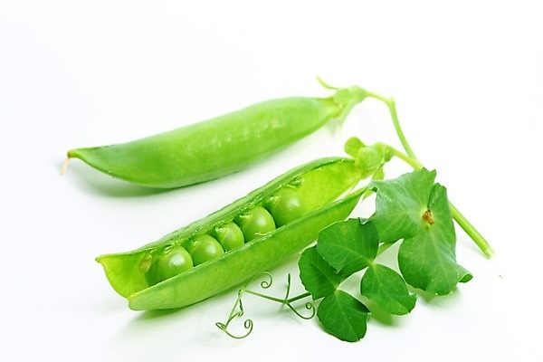 포토 JPG 해외이미지 식물 라이프스타일 음식 줄기 백그라운드 패턴 곡선 다이어트 채소 자연 건강 씨앗 사람없음 초록색 농작물 흰색 신선 오픈 그룹 시장 닫기 낟알 먹기 오브젝트 유기농 완두콩 날것 심플 고립 꼬투리 숙성 줄서기 해외202004 해외202105 해외포토 웰빙 선 컬러 무늬 농업 모션 콩 생활 생태계 파일형식