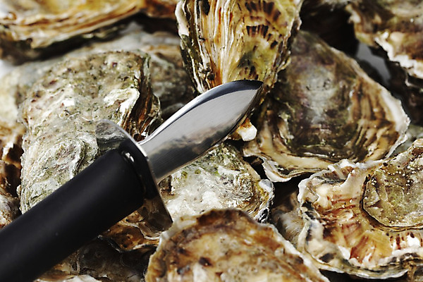 포토 JPG 해외이미지 식재료 실내 근접촬영 사람없음 아웃포커스 쌓기 굴 신선 칼 해외202004 해외202105 해외포토 뷰포인트 모션 어패류 촬영기법 내부 파일형식