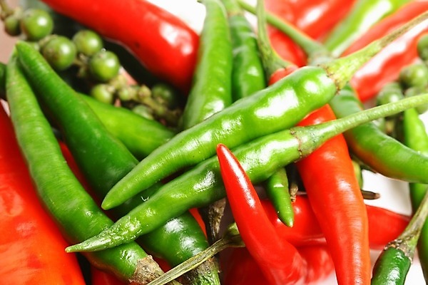포토 JPG 해외이미지 음식 백그라운드 채소 재료 고추 건강 요리 사람없음 빨간색 초록색 주방 신선 뜨거움 맛 매움 후추 고립 살사댄스 할라피뇨 화상 해외202004 해외202105 해외포토 컬러 컨셉 춤 상처 향신료 파일형식