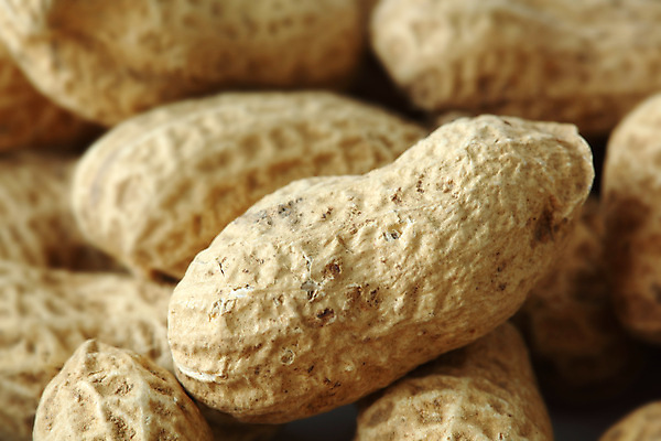 포토 JPG 해외이미지 실내 근접촬영 사람없음 가득함 땅콩 해외202004 해외202105 해외포토 뷰포인트 내부 견과류 파일형식