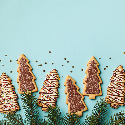 포토 JPG 해외이미지 별 잎 크리스마스 실내 사람없음 하이앵글 달콤 파란배경 크리스마스트리모양쿠키 트리모양 카피스페이스 해외202004 해외포토 자연요소 모양 식물 기념일 뷰포인트 백그라운드 내부 파란색 크리스마스트리 쿠키 공백 맛 파일형식