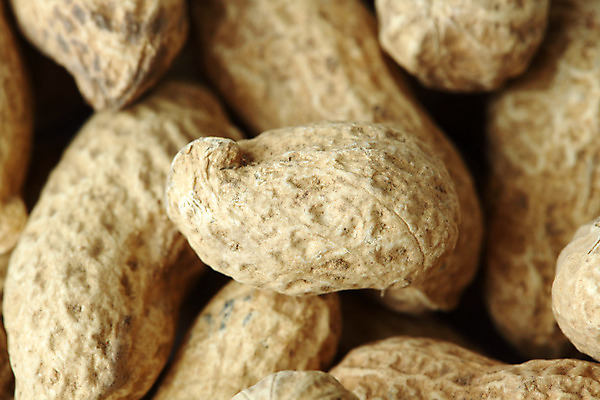 포토 JPG 해외이미지 실내 근접촬영 사람없음 가득함 땅콩 해외202004 해외202105 해외포토 뷰포인트 내부 견과류 파일형식