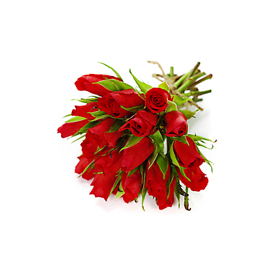 포토 JPG 해외이미지 꽃다발 실내 사람없음 장미 흰배경 해외202004 해외포토 꽃 백그라운드 내부 흰색 파일형식