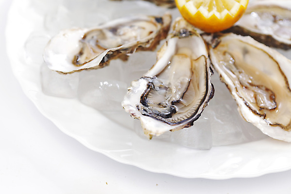 포토 JPG 해외이미지 접시 식재료 실내 사람없음 얼음 굴 신선 레몬 흰배경 해외202004 해외202105 해외포토 자연요소 식기 백그라운드 과일 어패류 내부 흰색 파일형식