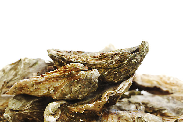 포토 JPG 해외이미지 식재료 실내 사람없음 아웃포커스 쌓기 굴 신선 흰배경 해외202004 해외202105 해외포토 백그라운드 모션 어패류 촬영기법 내부 흰색 파일형식