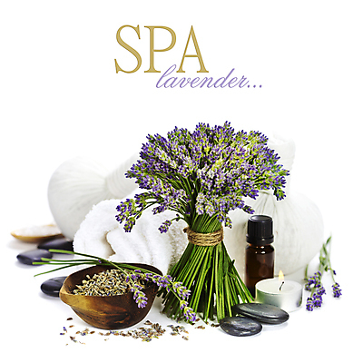 포토 JPG 해외이미지 사람없음 수건 스파 조약돌 스파용품 향초 아로마테라피 라벤더 해외202004 해외포토 꽃 초 위생용품 돌_바위 허브 오브젝트 테라피 파일형식