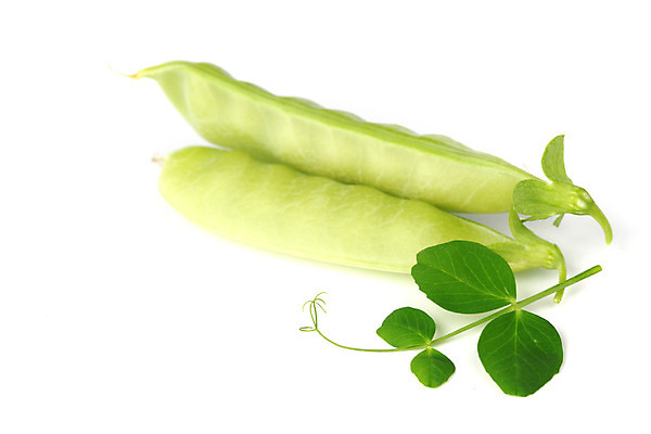 포토 JPG 해외이미지 식물 라이프스타일 계절 꽃잎 음식 줄기 백그라운드 잎 패턴 곡선 다이어트 채소 과일 자연 건강 요리 씨앗 사람없음 초록색 농작물 약 정원 수확 성장 흰색 신선 오픈 그룹 시장 닫기 달콤 먹기 오브젝트 유기농 완두콩 날것 내추럴 고립 꼬투리 숙성 줄서기 해외202004 해외202105 해외포토 웰빙 꽃 선 컬러 무늬 농업 의학 모션 콩 생활 맛 생태계 파일형식