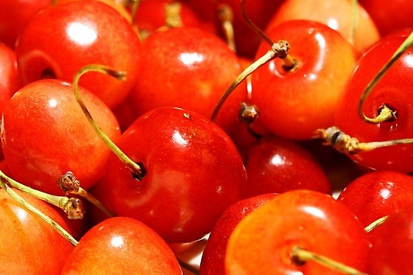 포토 JPG 해외이미지 모양 잡화 음식 줄기 2 농업 곡선 다이어트 과일 디저트 건강 사람없음 빨간색 초록색 빛 숫자 흰색 신선 원형 체리 우아함 달콤 맛 묘사 싱글 유기농 서식 진홍색 비타민 내추럴 고립 숙성 영양분 이국적 줄서기 많음 솔깃 맛있는 해외202004 해외202105 해외포토 도형 식물 문자 웰빙 산업 선 컬러 컨셉 모션 영양소 파일형식