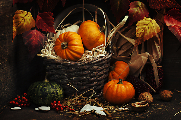 포토 JPG 해외이미지 낙엽 호박 검은배경 실내 사람없음 농작물 바구니 가을 볏짚 호두 추수감사절 호박씨 해외202004 해외포토 계절 기독교 백그라운드 잎 농업 채소 씨앗 내부 검은색 견과류 짚 파일형식