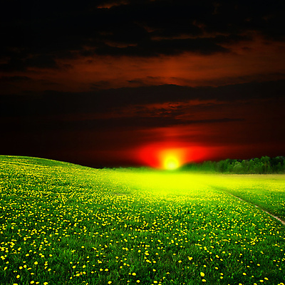 포토 JPG 해외이미지 식물 구름 계절 공원 꽃잎 꽃 행복 백그라운드 잎 꽃무늬 패턴 밭 농업 자연 벽지 하늘 풍경 초원 사람없음 야외 초록색 여름 컬러풀 태양 농장 노란색 우주 일출 환경 정원 맑음 일몰 봄 벚꽃 흰색 시골 신선 닫기 민들레 장면 내추럴 해외202004 해외202105 해외포토 자연요소 공공시설 감정 산업 컬러 무늬 모션 날씨 노을 생태계 파일형식