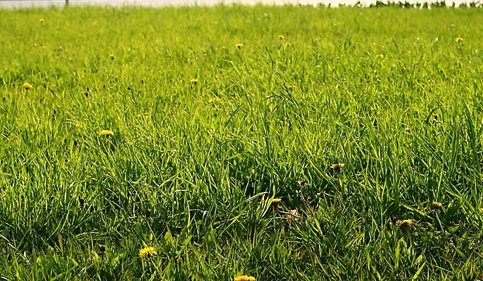 포토 JPG 해외이미지 구름 계절 종교 백그라운드 밭 농업 하늘 날씨 추상 불꽃 풍경 사람없음 초록색 여름 파란색 빛 글로벌 태양 농장 평화 우주 맑음 봄 자유 광선 흰색 전원 시골 선탠 예측 남색 순수 천국 산소 기본 오존 수평선 해외202004 해외202105 해외포토 자연요소 산업 컬러 컨셉 무늬 불 원소 전기에너지 파일형식