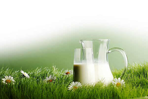 포토 JPG 해외이미지 꽃 음료 백그라운드 농업 자연 유리 건강 초원 사람없음 초록색 여름 농장 농경지 환경 우유 흰색 신선 조끼 항아리 허브 데이지 내추럴 고립 밭일 캐모마일 해외202004 해외202105 해외포토 식물 계절 산업 컬러 재질 유제품 외투 도자기 생태계 파일형식