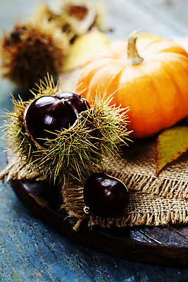 포토 JPG 해외이미지 호박 실내 사람없음 아웃포커스 농작물 가을 밤 밤송이 삼베 나무도마 해외202004 해외포토 계절 농업 채소 도마 촬영기법 내부 목재 견과류 밤_견과류 파일형식 천_직물
