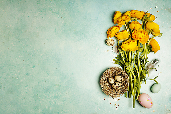 포토 JPG 해외이미지 꽃다발 부활절 실내 사람없음 둥지 깃털 부활절계란 파란배경 라넌큘러스 메추리알 카피스페이스 해외202004 해외포토 기념일 꽃 백그라운드 내부 파란색 계란 알 공백 파일형식