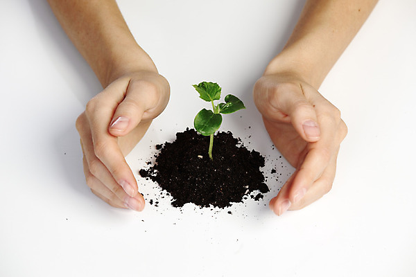 포토 JPG 해외이미지 식물 1 손 여자 꽃 지구 어린이 줄기 백그라운드 컨셉 잎 농업 자연 새로움 아이디어 손바닥 안전 사람 사람없음 초록색 빛 약 환경 흙 봄 엄지손가락 성장 흰색 보호 작음 시작 원예 먼지 팔 고립 돌봄 모종 생태학 세련 해외202004 해외202105 해외포토 계절 교육 산업 컬러 손가락 의학 모션 취미 신체부위 크기 생태계 파일형식