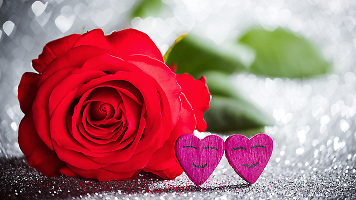 포토 JPG 해외이미지 꽃 얼굴 백그라운드 2 불꽃 발렌타인데이 선물 사랑 미소 사람없음 목재 장식 빨간색 빛 장미 놀람 낭만 하트 마음 축하 인사 신용카드 화려 심볼 보케 열정 광 카피스페이스 해외202004 해외202105 해외포토 모양 나무 식물 감정 컬러 컨셉 재료 데이이벤트 불 표정 신체부위 금융 공백 예절 파일형식