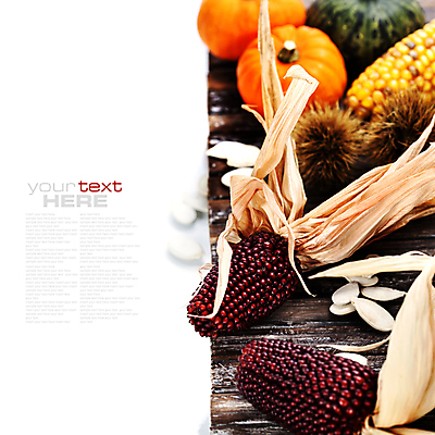 포토 JPG 해외이미지 호박 실내 타이포그라피 사람없음 농작물 가을 밤송이 흰배경 추수감사절 호박씨 카피스페이스 흑찰옥수수 해외202004 해외포토 문자 계절 기독교 백그라운드 농업 채소 씨앗 내부 공백 흰색 밤_견과류 찰옥수수 파일형식