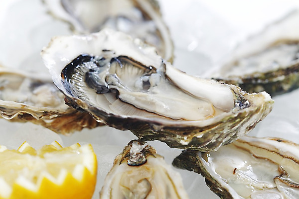 포토 JPG 해외이미지 식재료 실내 근접촬영 사람없음 아웃포커스 얼음 굴 신선 레몬 흰배경 해외202004 해외202105 해외포토 자연요소 뷰포인트 백그라운드 과일 어패류 촬영기법 내부 흰색 파일형식