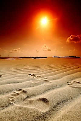 포토 JPG 해외이미지 길 물결 모래 바다 여행 백그라운드 패턴 아프리카 자연 휴가 건조 따뜻함 사람 풍경 사람없음 야외 여름 평화 일출 일몰 산책 사막 자유 시간 뜨거움 고독 인쇄 발자국 모래언덕 탈출 모험가 언덕 검색 싱글 통로 내추럴 루트 방법 양발 혼자 해외202004 해외202105 해외포토 계절 감정 나라 컨셉 무늬 자국 휴식 노을 생태계 파일형식