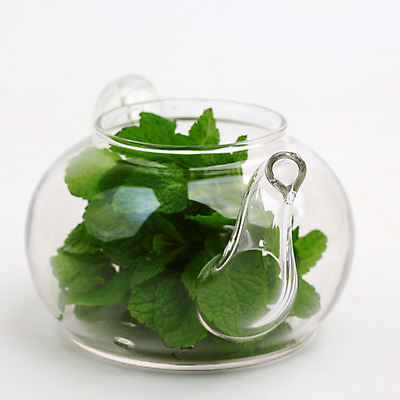 포토 JPG 해외이미지 식물 라이프스타일 접시 음료 음식 백그라운드 잎 과일 자연 유리 휴식 건강 사람없음 컵 빨간색 초록색 물 약 갈색 주방 검은색 중국 머그컵 흰색 신선 뜨거움 액체 아침식사 찻잔 먹기 민트 허브 싱글 유기농 향 아로마테라피 내추럴 고립 돌봄 스타일 해외202004 스피아민트 해외202105 해외포토 자연요소 식기 웰빙 아시아 컬러 컨셉 의학 모션 재질 잔 생활 식사 생태계 테라피 파일형식