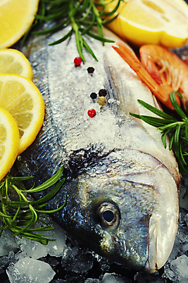 포토 JPG 해외이미지 새우 실내 어류 요리 사람없음 얼음 레몬 해산물 후추 로즈메리 해외포토 자연요소 과일 갑각류 내부 수중동물 허브 향신료 파일형식