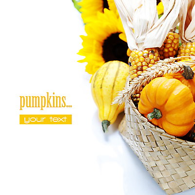 포토 JPG 해외이미지 호박 해바라기 실내 타이포그라피 사람없음 농작물 바구니 벼 가을 흰배경 담기 찰옥수수 카피스페이스 해외202004 해외포토 문자 계절 꽃 백그라운드 농업 채소 모션 곡류 옥수수 내부 공백 흰색 파일형식