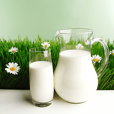 포토 JPG 해외이미지 꽃 음료 백그라운드 농업 자연 유리 건강 초원 사람없음 초록색 여름 농장 농경지 환경 우유 흰색 시골 신선 조끼 항아리 상품 데이지 내추럴 밭일 캐모마일 해외202004 해외202105 해외포토 식물 계절 산업 컬러 재질 유제품 외투 도자기 허브 생태계 파일형식