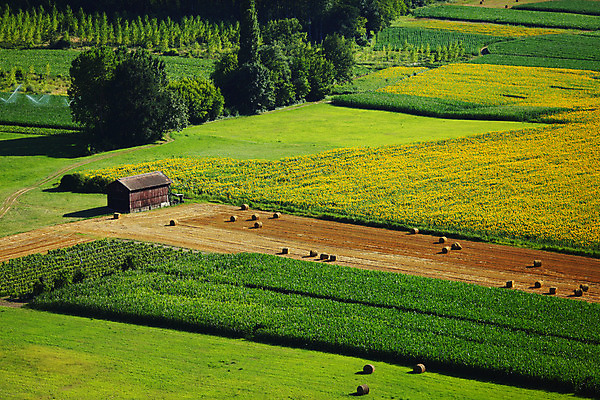 포토 JPG 해외이미지 식물 꽃 유럽 여행 백그라운드 밭 농업 건축양식 자연 하늘 해바라기 산 파노라마 풍경 초원 사람없음 초록색 여름 파란색 태양 농장 노란색 마을 계곡 맑음 프랑스 벚꽃 시골 개화 땅 언덕 밭일 옛날 해외202004 해외202105 해외포토 자연요소 계절 건축 나라 산업 컬러 날씨 촬영기법 생태계 파일형식