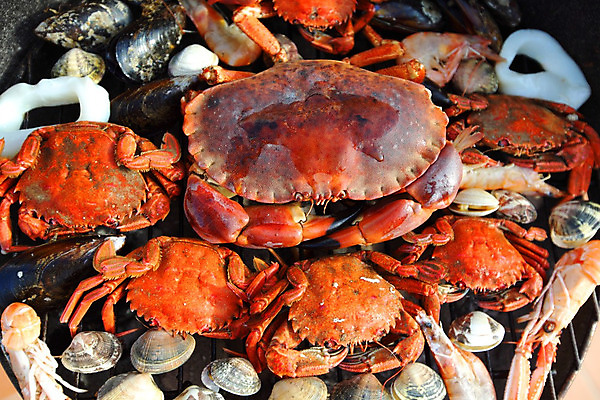 포토 JPG 해외이미지 조개 새우 사람없음 게 신선 그릴 바비큐 굽기 해산물 집게발 해외202004 해외202105 해외포토 음식 주방용품 어패류 갑각류 구이 파일형식