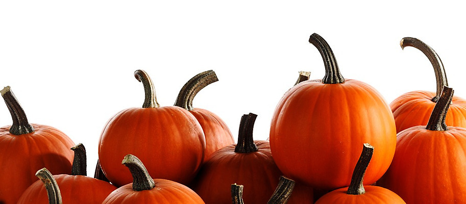 포토 JPG 해외이미지 계절 음식 백그라운드 컨셉 단풍 농업 채소 오렌지 호박 휴가 사람없음 장식 할로윈 수확 가을 흰색 신용카드 그룹 시장 큼 유기농 날것 박 추수감사절 스쿼시 10월 내추럴 고립 숙성 많음 카피스페이스 해외202004 해외202105 해외포토 웰빙 산업 기독교 스포츠 컬러 잎 과일 금융 구기 공백 날짜 크기 파일형식