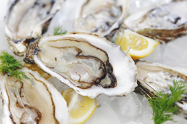 포토 JPG 해외이미지 식재료 실내 근접촬영 사람없음 아웃포커스 얼음 굴 신선 레몬 흰배경 해외202004 해외202105 해외포토 자연요소 뷰포인트 백그라운드 과일 어패류 촬영기법 내부 흰색 파일형식