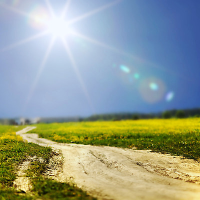 포토 JPG 해외이미지 나무 식물 구름 꽃 도로 길 잎 밭 농업 자연 하늘 날씨 휴식 산 풍경 잔디 초원 사람없음 야외 초록색 여름 파란색 햇빛 태양 마을 맑음 수확 시골 그룹 가장자리 볏짚 숲 땅 자르기 언덕 천국 방앗간 방법 수평선 해외202004 해외202105 해외포토 자연요소 계절 산업 컬러 컨셉 교통시설 모션 둘레 짚 생태계 파일형식