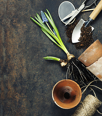 포토 JPG 해외이미지 꽃 화분 사람없음 하이앵글 흙 모종삽 원예 노끈 가위질 원예용품 카피스페이스 갈색배경 해외202004 해외포토 식물 줄 뷰포인트 생활용품 백그라운드 가위_도구 취미 갈색 공백 삽 파일형식