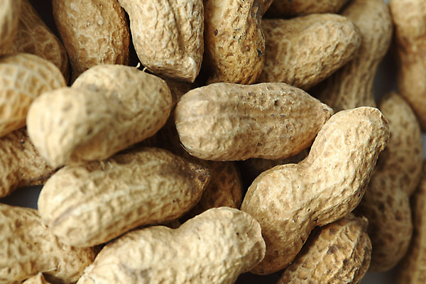 포토 JPG 해외이미지 실내 근접촬영 사람없음 가득함 땅콩 땅콩껍질 해외202004 해외202105 해외포토 뷰포인트 내부 견과류 껍질 파일형식