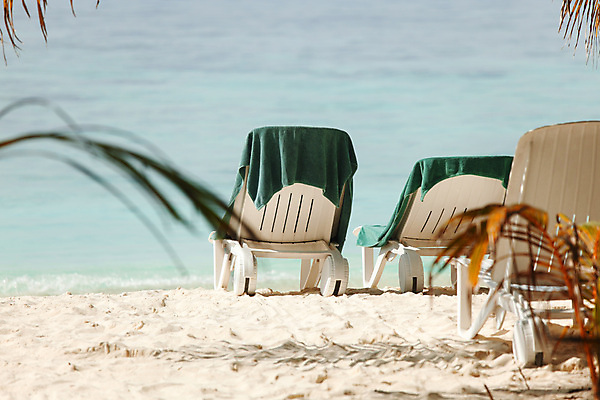 포토 JPG 해외이미지 나무 모래 파도 바다 섬 여행 백그라운드 꽃무늬 의자 자연 휴가 손바닥 풍경 사람없음 야외 초록색 물 여름 파란색 수건 햇빛 흰색 전원 휴게실 가장자리 플라스틱 휴양지 몰디브 이국적 터키석 해외202004 해외202105 해외포토 자연요소 식물 손 계절 꽃 아시아 컬러 가구 무늬 재질 위생용품 태양 장소 둘레 전기에너지 보석 생태계 파일형식