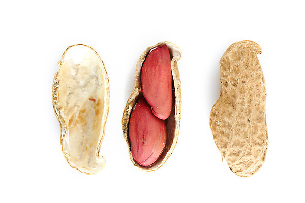 포토 JPG 해외이미지 실내 사람없음 하이앵글 두개 흰배경 땅콩 땅콩껍질 해외202004 해외202105 해외포토 뷰포인트 백그라운드 2 내부 견과류 껍질 흰색 파일형식