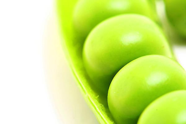 포토 JPG 해외이미지 채소 자연 근접촬영 사람없음 농작물 완두콩 날것 꼬투리 해외202004 해외202105 해외포토 뷰포인트 농업 콩 생태계 파일형식